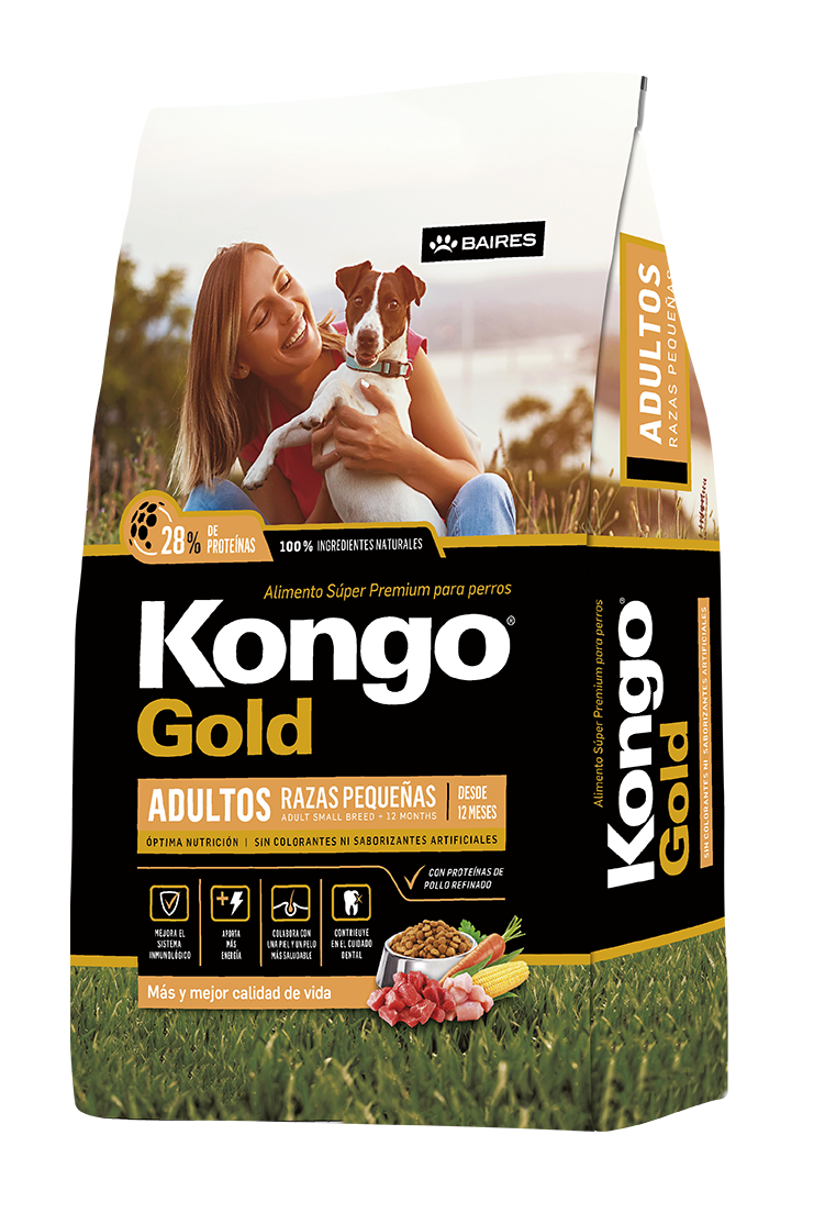 Kongo Adulto Gold